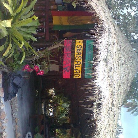 Sea Salad Resort Ko Pha Ngan Exterior photo